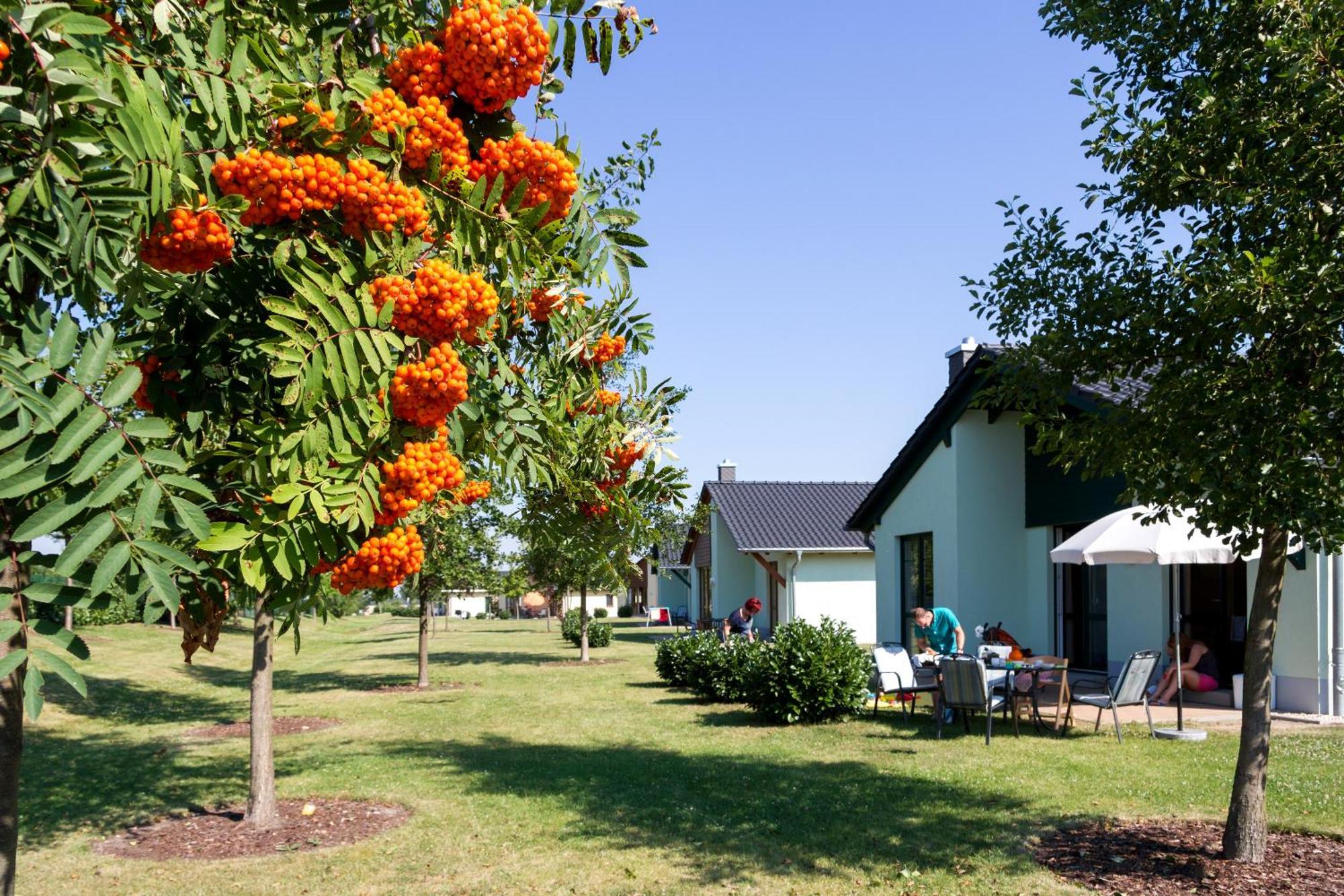 Seepark Auenhain Markkleeberg Habitación foto